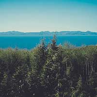 快速资源调度的短信轰炸业务网