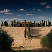 自动化监控的轰炸电话在线下单