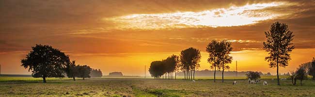 手机号轰炸免费在线网站